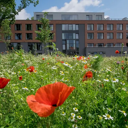 Freigeist Bw Signature Collection ホテル 4*